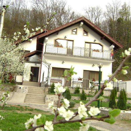 Pension Casa Natura Беїле-Херкулане Екстер'єр фото