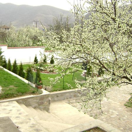 Pension Casa Natura Беїле-Херкулане Екстер'єр фото