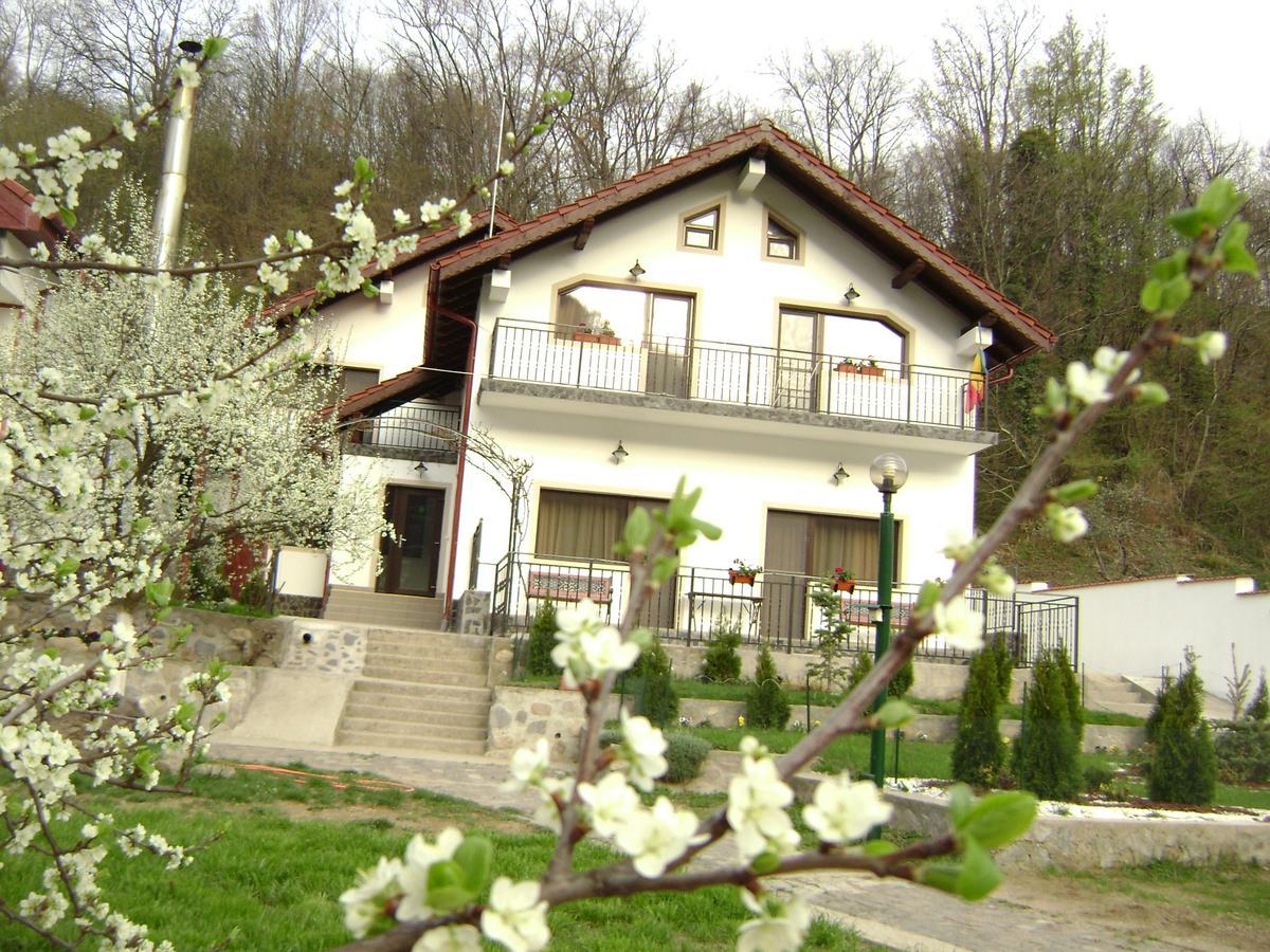 Pension Casa Natura Беїле-Херкулане Екстер'єр фото