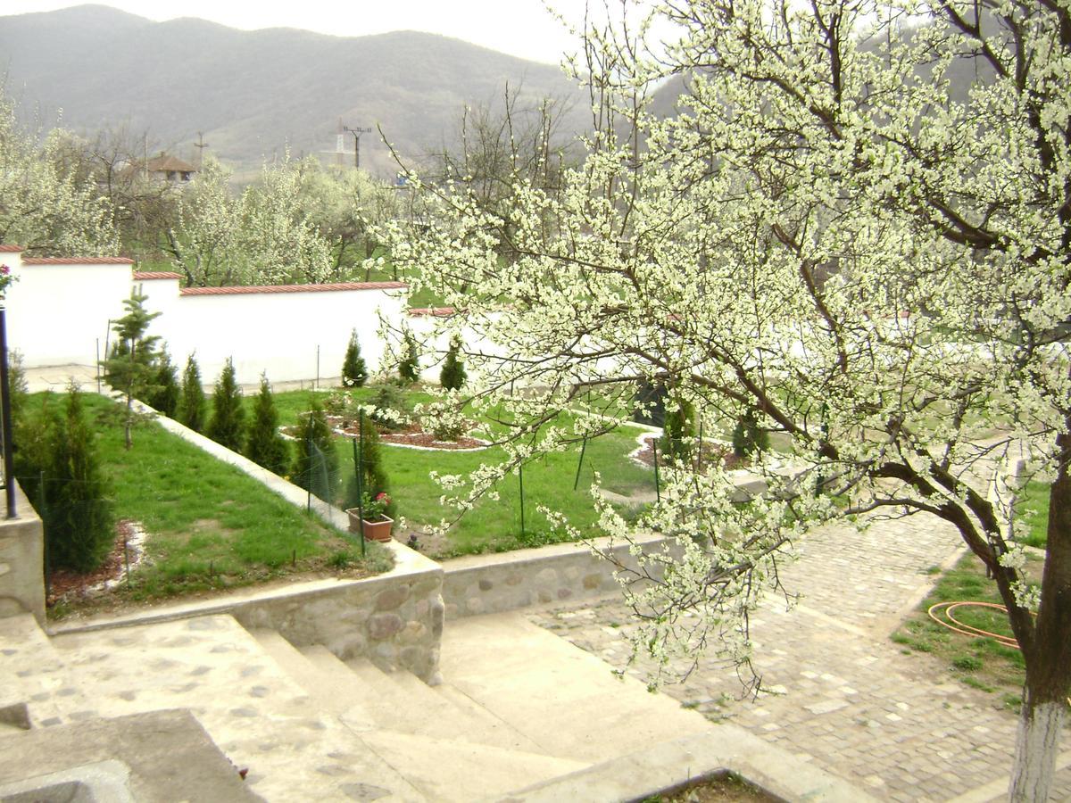 Pension Casa Natura Беїле-Херкулане Екстер'єр фото