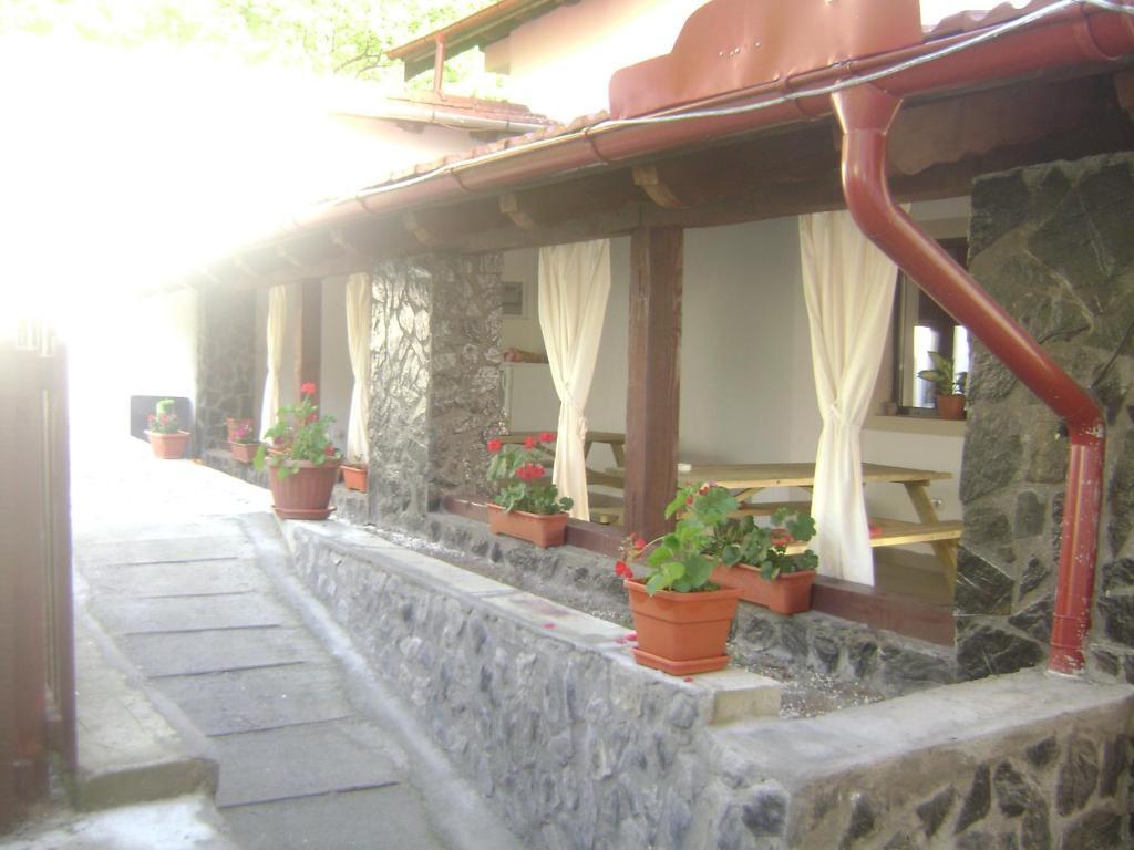 Pension Casa Natura Беїле-Херкулане Екстер'єр фото
