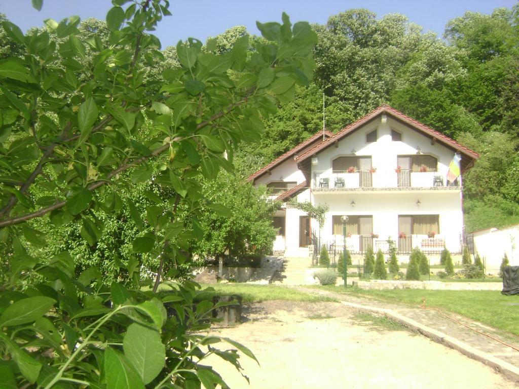 Pension Casa Natura Беїле-Херкулане Екстер'єр фото