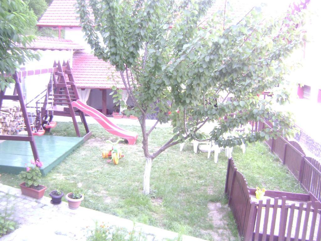 Pension Casa Natura Беїле-Херкулане Екстер'єр фото