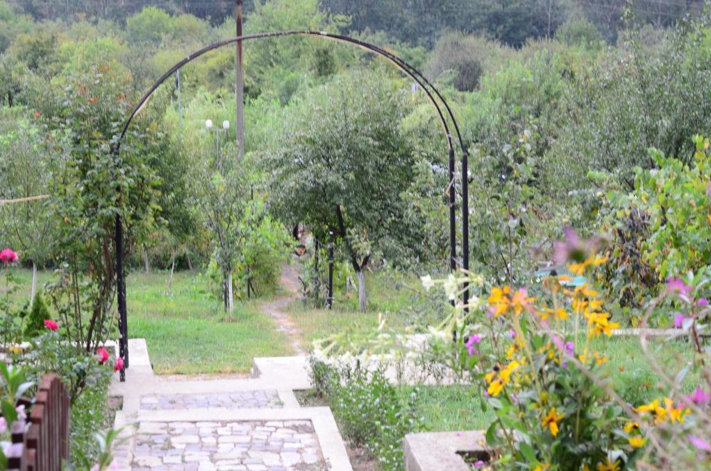 Pension Casa Natura Беїле-Херкулане Екстер'єр фото