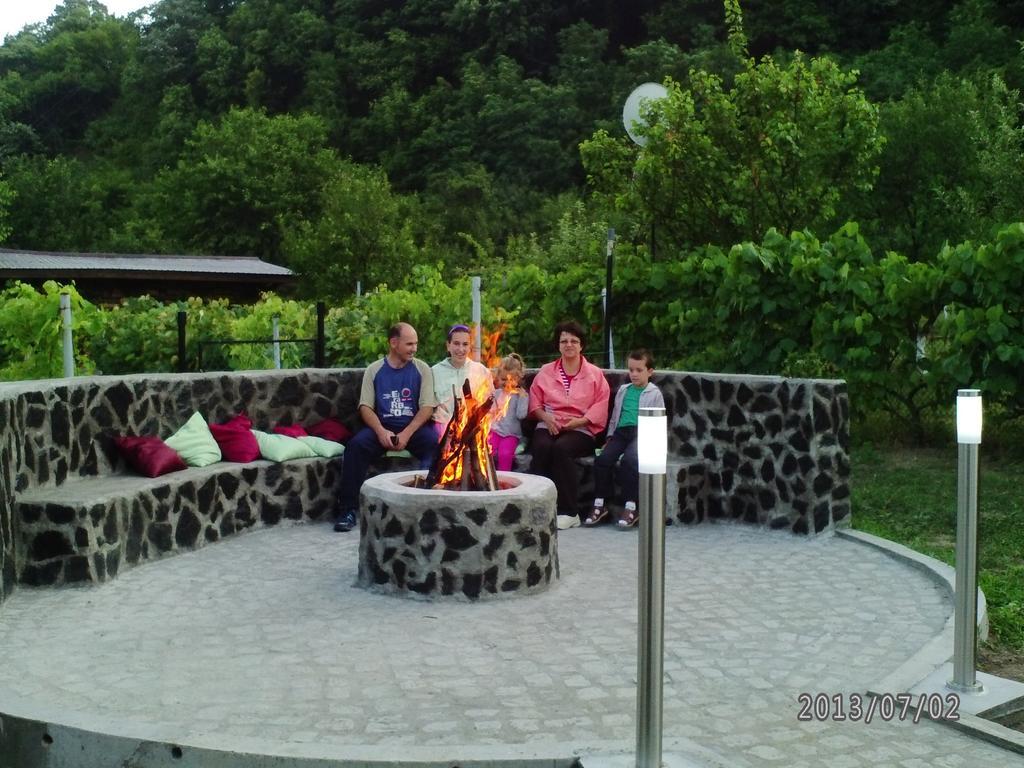 Pension Casa Natura Беїле-Херкулане Екстер'єр фото