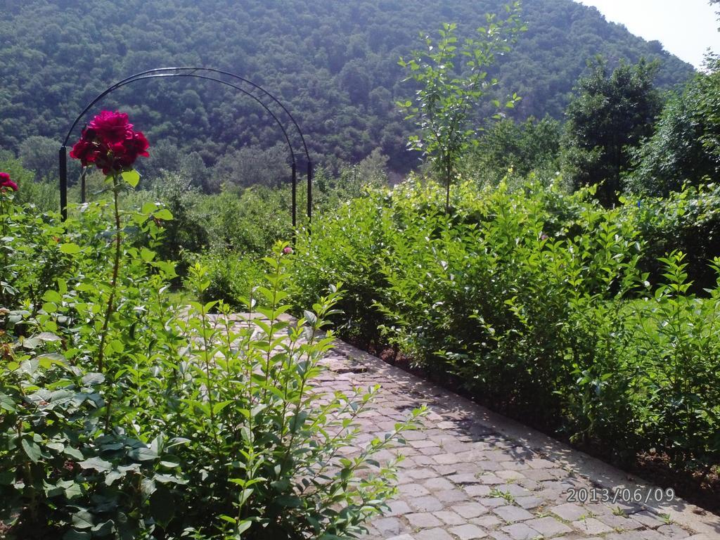 Pension Casa Natura Беїле-Херкулане Екстер'єр фото
