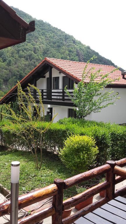 Pension Casa Natura Беїле-Херкулане Екстер'єр фото
