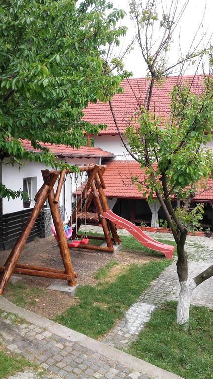 Pension Casa Natura Беїле-Херкулане Екстер'єр фото