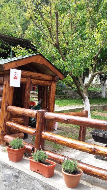 Pension Casa Natura Беїле-Херкулане Екстер'єр фото