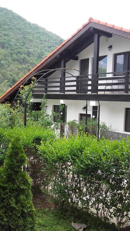 Pension Casa Natura Беїле-Херкулане Екстер'єр фото