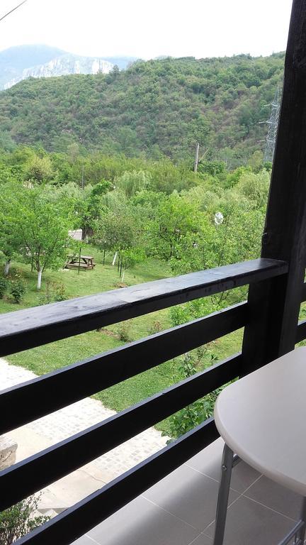 Pension Casa Natura Беїле-Херкулане Екстер'єр фото