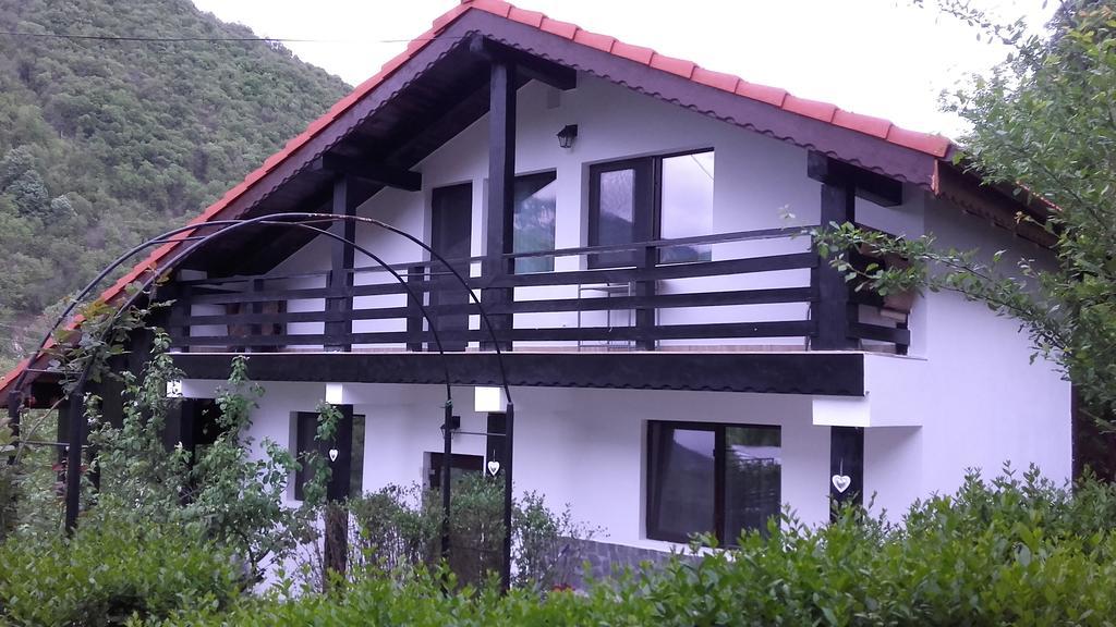 Pension Casa Natura Беїле-Херкулане Екстер'єр фото