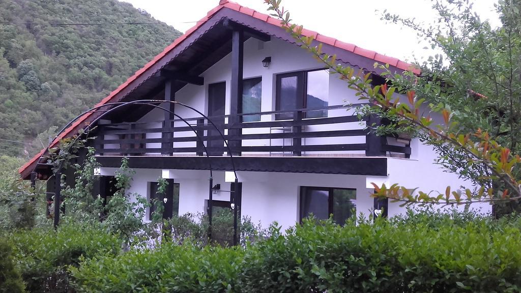Pension Casa Natura Беїле-Херкулане Екстер'єр фото